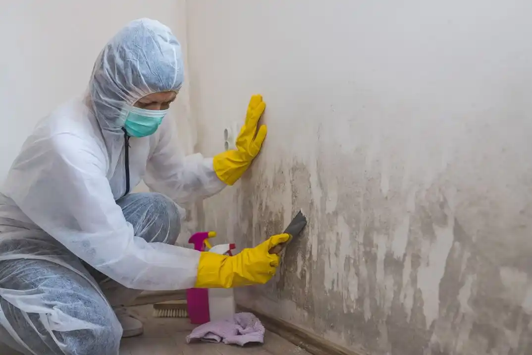 water damage restoration service Westridge Park